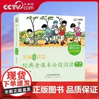 [央视网]芝麻开花 经典老课本分级阅读第二辑 1-10册 一套以经典民国老课本为主要内容的系列分级读本 TJ