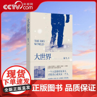 [央视网]大世界 海飞 双城暗战 双面人生 海飞全新力作重磅上市WX
