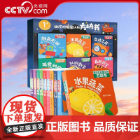 [央视网]撕不烂启蒙认知方块书 套装共10册 QH