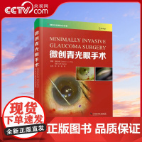 [央视网]微创青光眼手术 (新加坡)凯尔文·C.A.孙,(英)凯斯·巴顿ZK DF