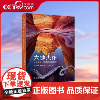 [央视网]大地杰作 从火到冰 地球的壮美景观 ZK