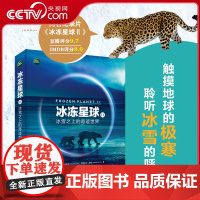 [央视网]冰冻星球II 冰雪之上的奇迹世界RD马克·布朗洛 BBC纪录片 在冰冻世界中进行拍摄的挑战 冰冻奇观 拍摄手记