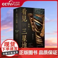 [央视网]看见三星堆 第一手资讯和资料 发掘现场实景照片 从未公布的一手文物图片为你呈现一个立体 完整的三星堆 TJ