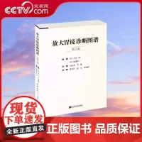 [央视网]放大胃镜诊断图谱 第2版 八木一芳 味冈洋一著 消化内科学临床案例诊治教程 胃镜检查报告解读参考工具书 LN