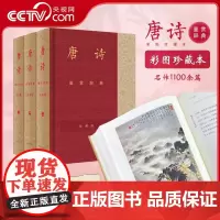 [央视网]唐诗鉴赏辞典 彩图珍藏本 梦回唐朝 探寻唐诗独领风骚的文学密码 DD