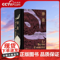 [央视网]神曲 插图珍藏版 意大利国宝级诗人但丁 文艺复兴中世纪文学经典世界名著 外国文学小说 HL
