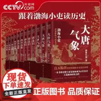 央视网 大唐气象两晋悲歌+三国争霸+南北归一全9册 渤海小吏 跟着渤海小吏读一部不一样的两晋历史 有趣有洞见有知识的人情
