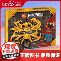 [央视网]乐高 幻影忍者 命运赏赐号 乐高幻影忍者十周年礼盒 航行日志 地图 飞船套装大放送 GK