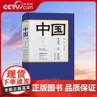 [央视网]中国艺术与文化 全彩修订版 举重若轻还原视觉文化历史语境 图文并茂讲诉七千年中国艺术故事[美]杜朴文以诚 HL