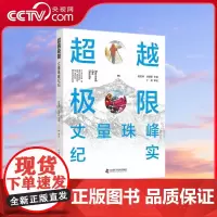 [央视网]超越极限 丈量珠峰纪实 ZK