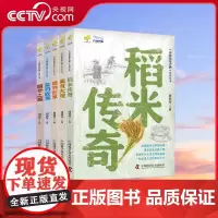 [央视网]中国美食之源 稻米传奇 面食大观 糖的世界 醋外之酸 盐的故事 全5册 ZK