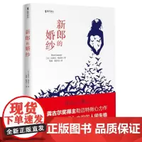 新郎的婚纱(海天译丛)