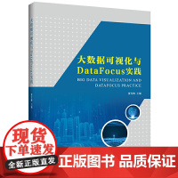 大数据可视化与DataFocus实践