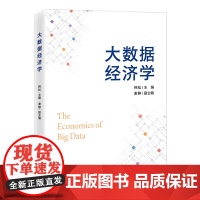 大数据经济学