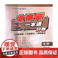 大单元·一本通 高一化学 必修第一册(人教版)(含答案册)