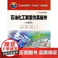 石油化工装置仿真操作(富媒体)