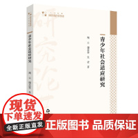 青少年社会适应研究