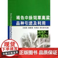 褐色中脉饲草高粱品种引进及利用 王显国 等主编 中国农业大学出版社 正版书籍