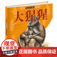 动物家庭:大猩猩