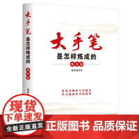 大手笔是怎样炼成的(精华版) 谢亦森 长江文艺出版社 正版书籍