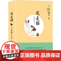我是猫 夏目漱石、 澜昕 台海出版社 正版书籍