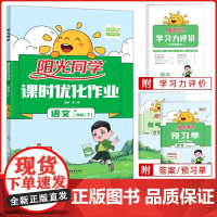 阳光同学课时优化作业二年级语文下册人教版小学2年级语文同步练习册课时优化作业本