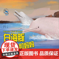 白海豚辛迪和妈妈