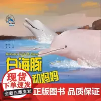 白海豚辛迪和妈妈