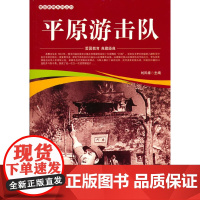 爱国教育系列丛书--平原游击队