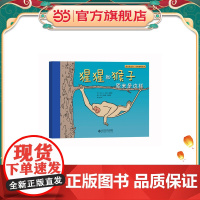 猩猩和猴子原来是这样