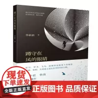 蹲守在风的眼睛