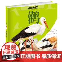 动物家庭:鹳