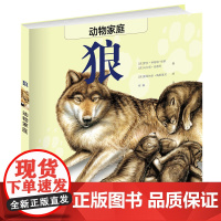 动物家庭:狼