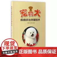 宠物犬疾病诊治关键技术