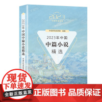 2023年中国中篇小说精选(2023中国年选系列) 中国作协创研部 选编 长江文艺出版社 正版书籍