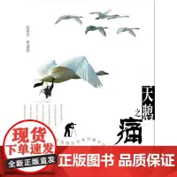 天鹅之痛:中国野生鸟类行摄手记