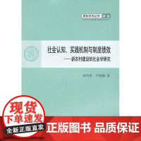 社会认知、实践机制与制度绩效&amp;mdash;青年学术丛书 政治