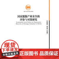 国家能源产业安全的评价与对策研究