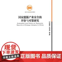 国家能源产业安全的评价与对策研究