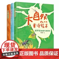 正版童书 大自然童诗绘本系列(套装,3册)