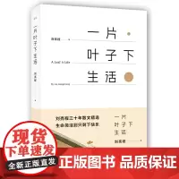 一片叶子下生活