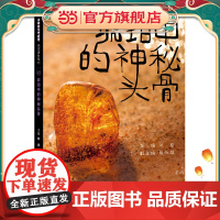 多样的生命世界·悦读自然系列 琥珀中的神秘头骨