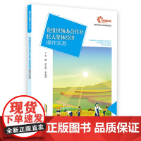 [助力乡村振兴出版计划·现代乡村社会治理]党组织领办合作社壮大集体经济操作实务