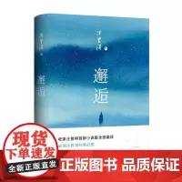 邂逅(汪曾祺经典原貌展现,全新唯美典藏精装版)