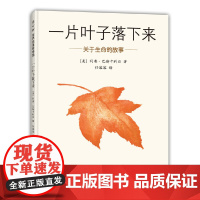 一片叶子落下来