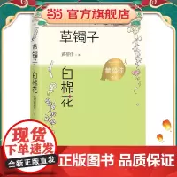 草镯子白棉花(黄蓓佳作品)