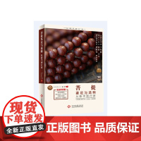 菩提鉴定与选购从新手到行家