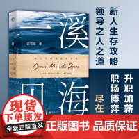 一溪见海II(国内教科书级别的女性职场小说。被排挤打压、遭遇背叛或恶意 雲雪铭 北京联合出版有限公司 正版书籍