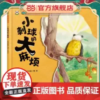 小刺球的大麻烦