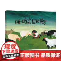 哇玛尖措的草原